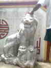Hình ảnh0002